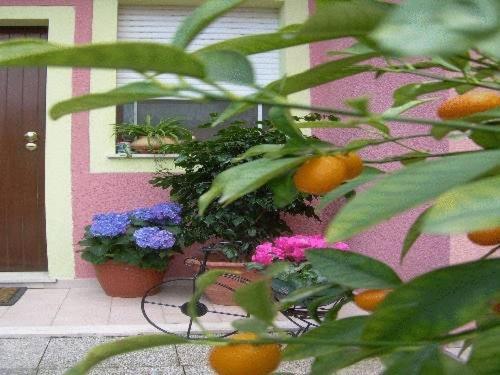 Ariedo Bed And Breakfast Capoterra Esterno foto