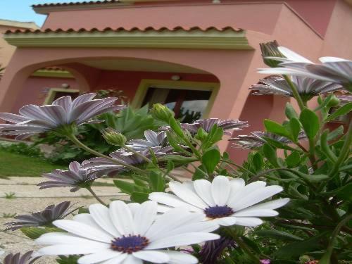 Ariedo Bed And Breakfast Capoterra Camera foto